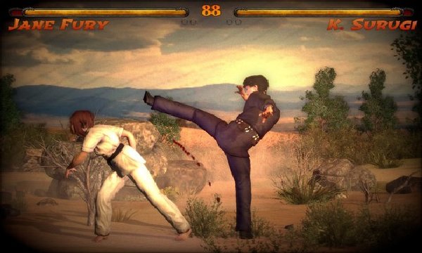 Kings of Kung Fu screenshot 1