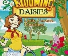 Blooming Daisies
