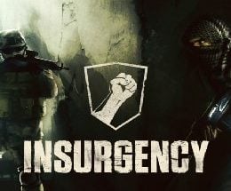 Insurgency