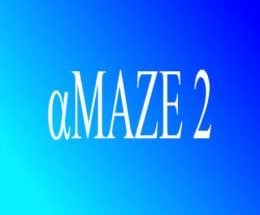 aMAZE 2