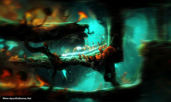 Ori and the Blind Forest: Definitive Edition Screenshot 1, Full Version, PC Game, Download Free