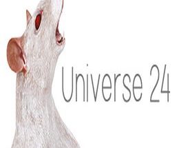 Universe 24