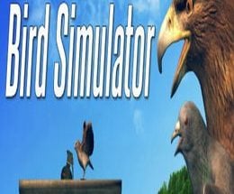Bird Simulator