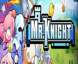 Mr.Knight