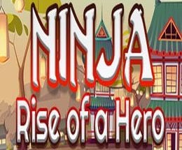 Ninja: Rise of a Hero