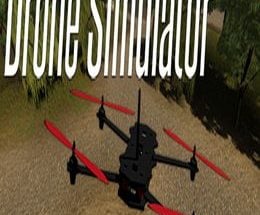 Drone Simulator