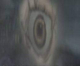 The Terrible Old Man