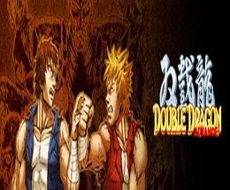 Double Dragon Advance