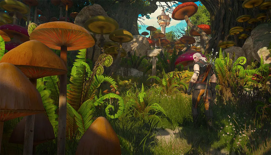 The Witcher 3 Wild Hunt Blood and Wine screenshot 5