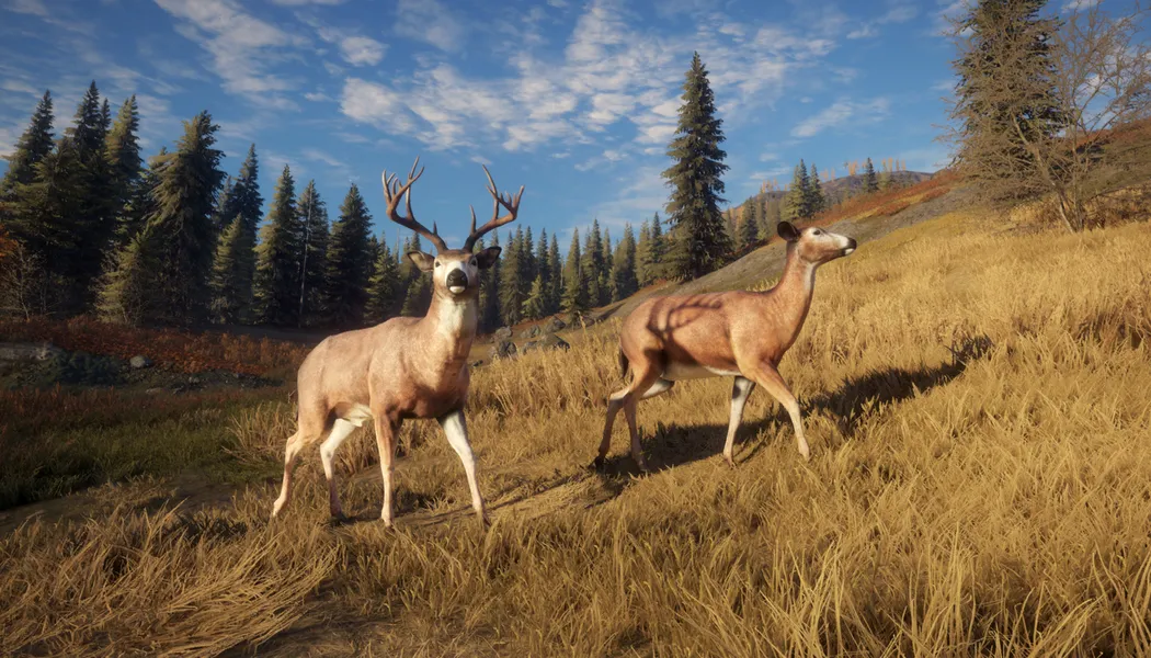 theHunter Call of the Wild screenshot 4