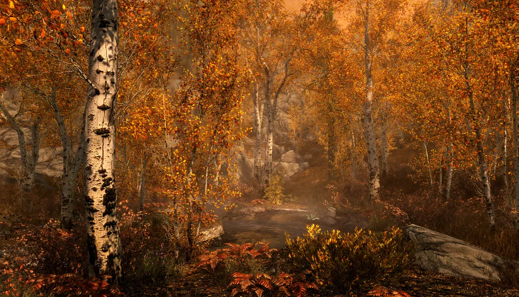 The Elder Scrolls V Skyrim Special Edition screenshot 3