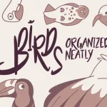 Birds Organized Neatly