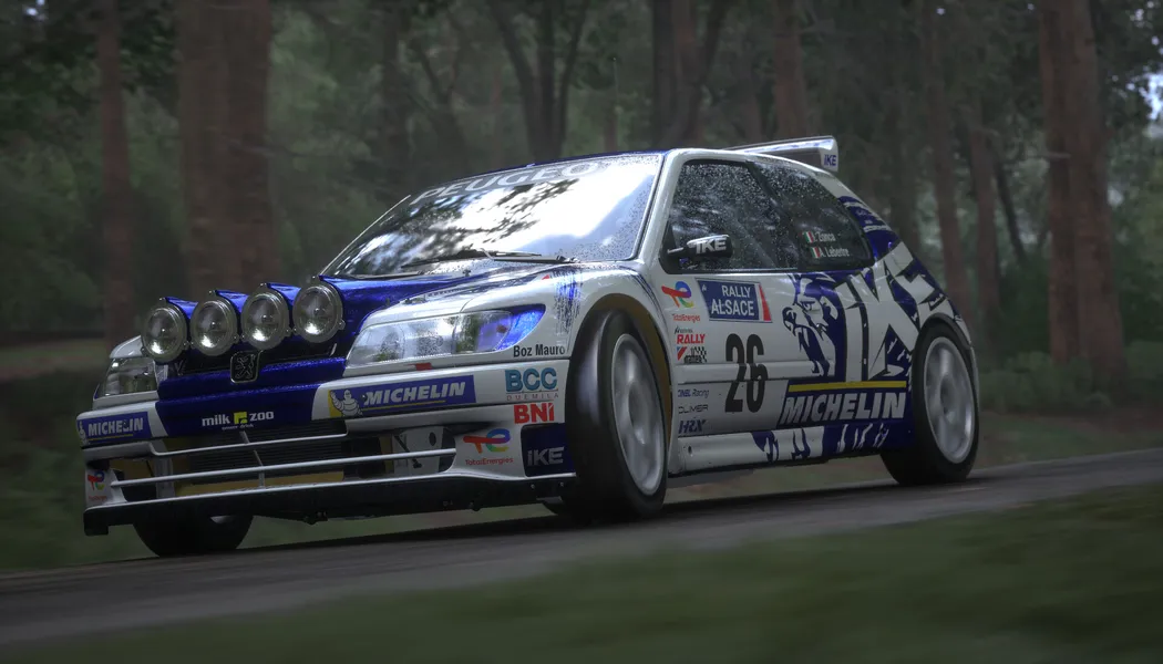Assetto Corsa Rally screenshot 1