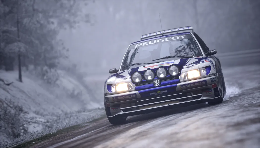 Assetto Corsa Rally screenshot 2
