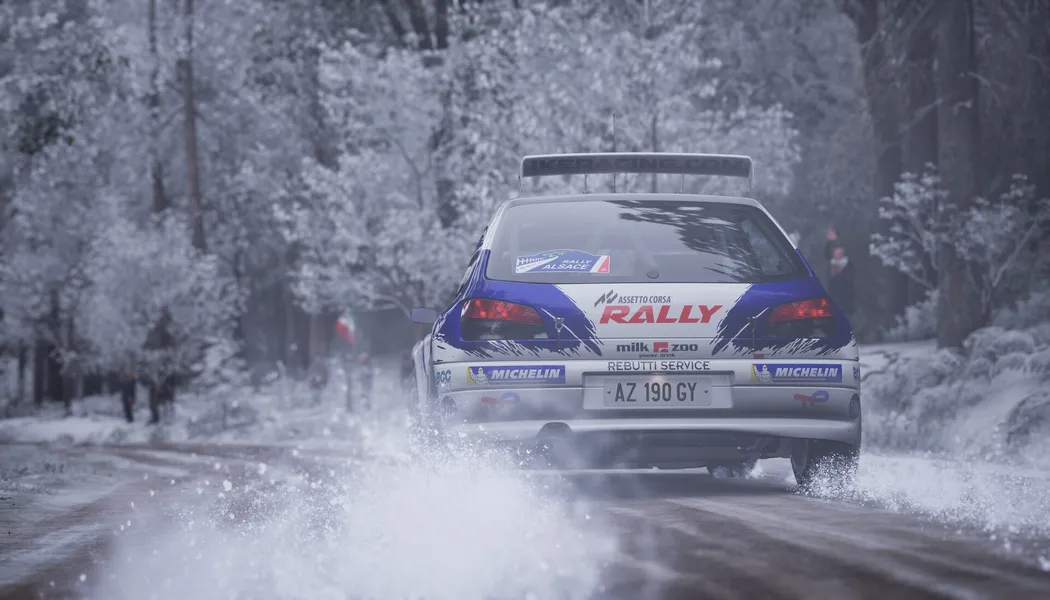 Assetto Corsa Rally screenshot 4