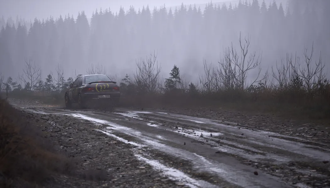 Assetto Corsa Rally screenshot 5